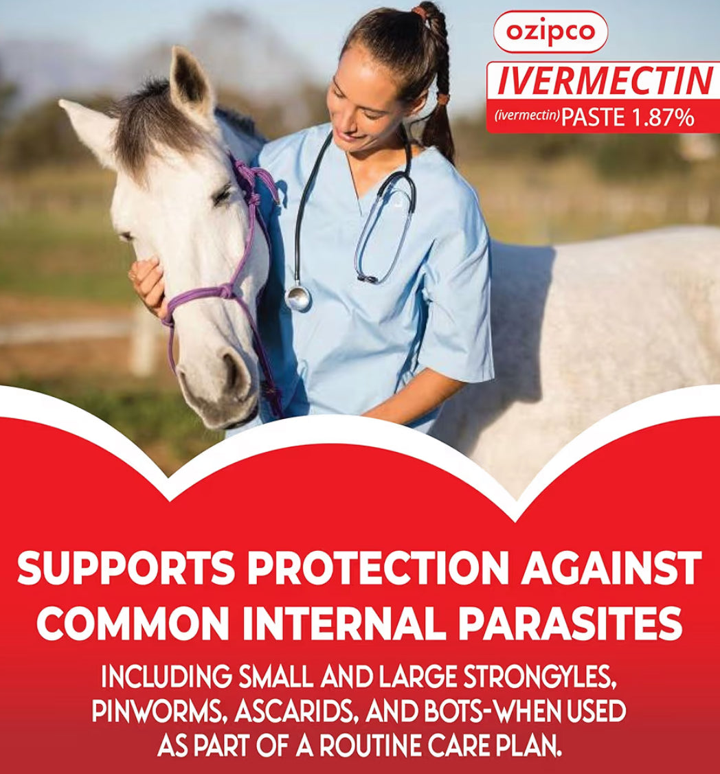 Ivermectin Horse Paste 1.87% | Apple Flavor – 6.08g Syringe for Equine Use Only Up to 1250 LB -(24-pack)