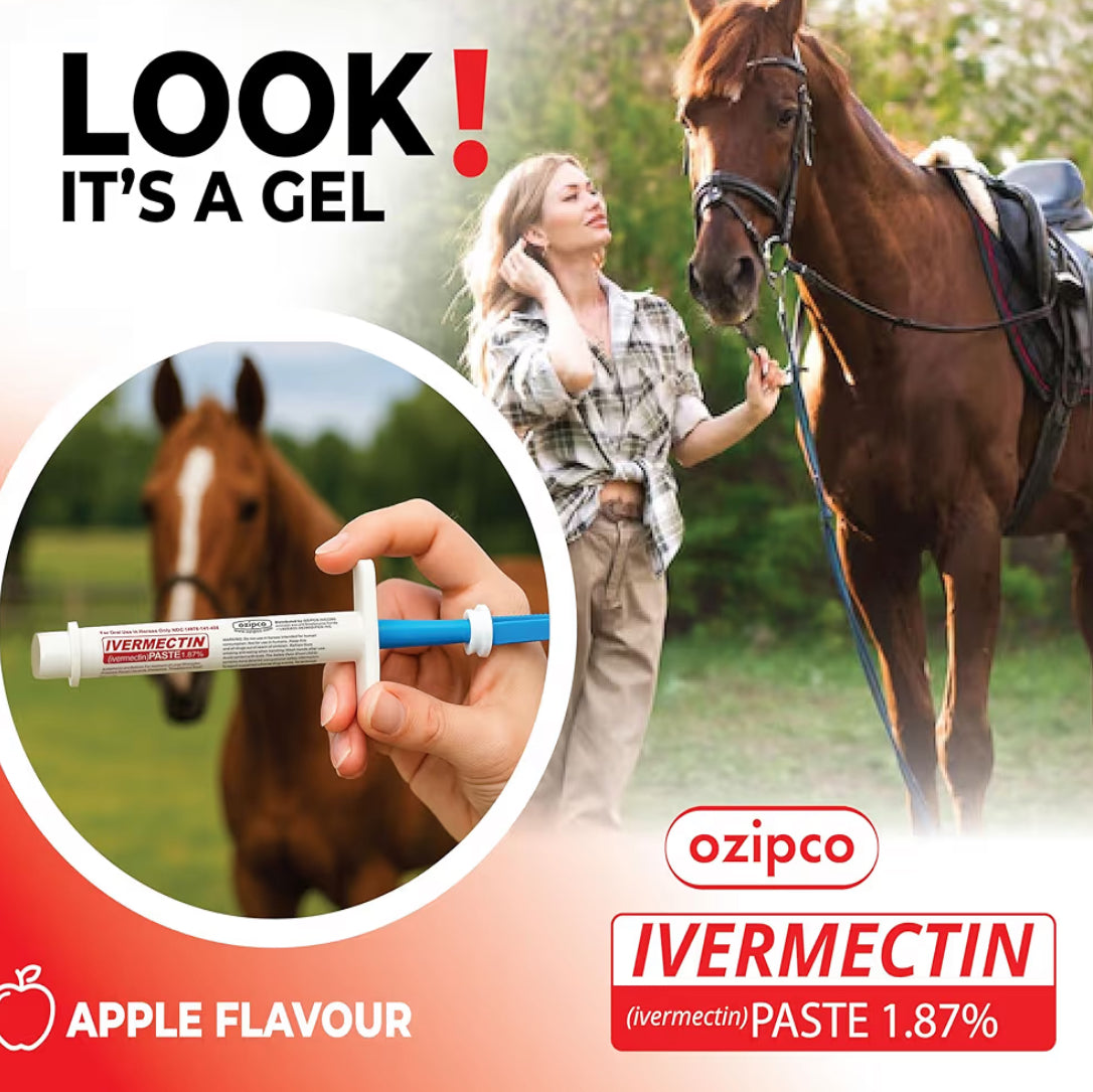 Ivermectin Horse Paste 1.87% | Apple Flavor – 6.08g Syringe for Equine Use Only Up to 1250 LB -(24-pack)